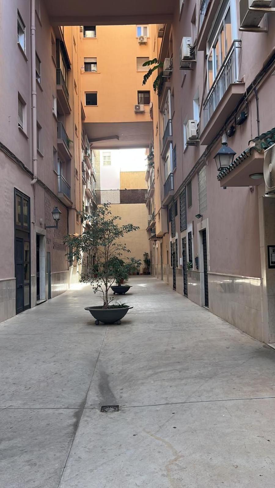 Homely Malaga Cienfuegos, Plaza De La Merced Con Vistas Málaga Exterior foto